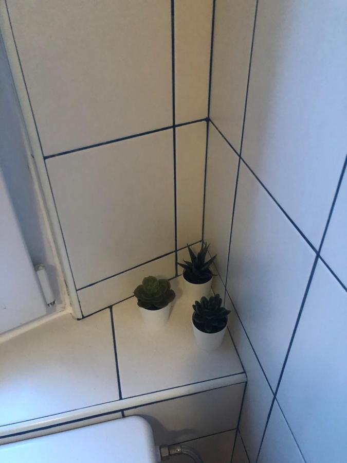 דירות רייקה La Madre מראה חיצוני תמונה